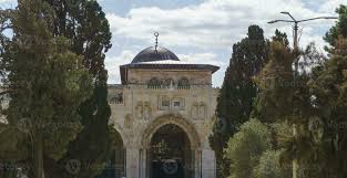 Image result for tbn:hXoP93xhHbrqVM::www.alaqsa-online.com/pic/teflaqsa4/749.jpg