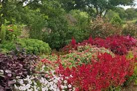 When to plant a garden in illinois. Agriculture Page 3 News