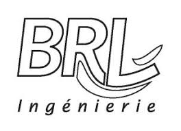 Image result for Gunillaea rhodesica