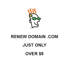 Way To Renew Domain Name At Godaddy For Just Over 9 Easy Promo Code Godaddy Domain Names