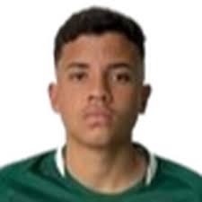 Profile João Pires, Sfera FC U20: Info, news, matches and statistics