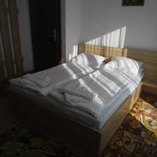 Pensiunea Alpina Casi Spa PÄƒltinis Romania