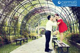 Pemandangan alam yang disuguhkan cukup menakjubkan sehingga banyak orang menjadikan hutan pinus contohnya seperti gambar di atas. Lokasi Pre Wedding Di Jakarta Yang Gratis Dan Berbayar Cermati Com