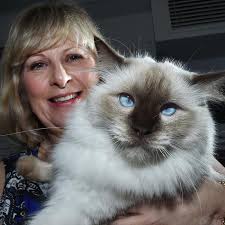 Raining cats and dogs