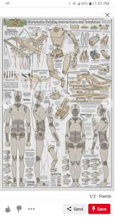 Terri Loth (terriloth)