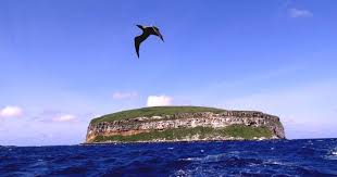 The galapagos are suitable for travel year round. Galapagos Islands Diving Tours Island Wolf And Island Darwin