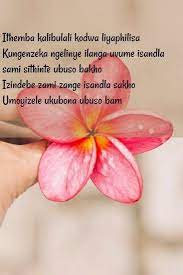 Pin On Uthando Zulu Love Quotes