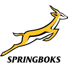 Springboks Logo PNG Vector EPS, SVG, Ai formats, 728.87 KB Free Download