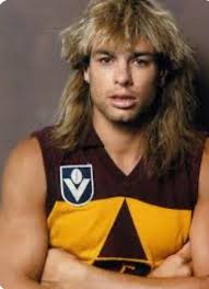 Fitzroy-Brisbane Lions Historical Society