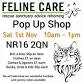 Feline Care Cat Rescue November Pop Up Shop event in Norwich