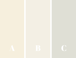 If you look at extra white or pure white by. White Sundress Help Me Pick Out Paint For My House Exterior Joyfully So