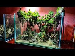 63 Aquascape Avatar Desain 2019 Youtube Avatar Desain Aquarium