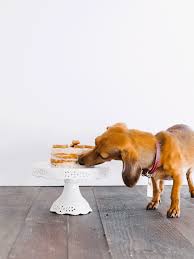 Check spelling or type a new query. Dog Friendly Peanut Butter Naked Cake Fix Feast Flair