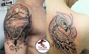 80 cute owl tattoo designs to ink. Owl Tattoo Meanings With Owl Tattoo Designs 2020 Tat Hit