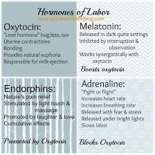 Ingredients In Birth Hormone Cocktail Hormones Of Labor Birth Affirmations Midwifery Birth Doula
