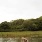 Wild Swimming Classes - Shepton Mallet Sports Football Club, West Shepton Playing Fields, Old Wells Rd Event Image