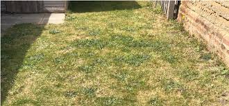 Check spelling or type a new query. How Does Mo Bacter Work