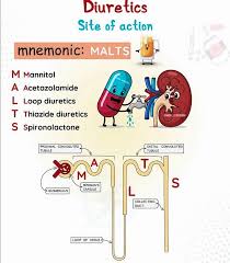 Image result for Diuretic