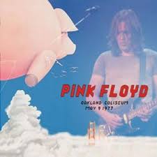 Image result for Pink 1977 Amana