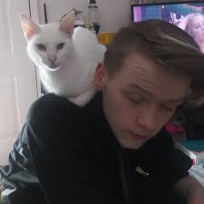 $200 still needed to be paid to get my last vet bill paid if any angel can  come through. I want to get cisca in to vets before she gets fattty liver