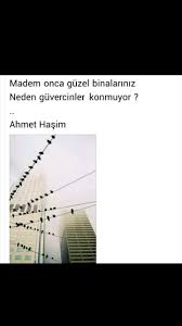 Madem Onca Guzel Binalariniz Neden Guvercinler Konmuyor Ahmet Hasim Siir Edebiyat Guzel Soz