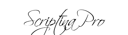 While in some scans from that book served as initial basis for the caps in my poem script. Scriptina Pro Font Ffonts Net