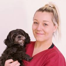 Das sind wir Kleintierpraxis Petersen in Winnert