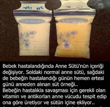 Anne Sutunun Onemi Bilgi Alintilari Bilgi Gercekler
