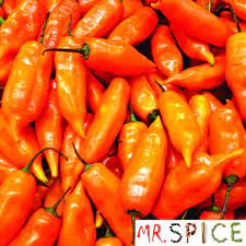 Pimenta Aji Amarillo Peruana Original Dos Andes Sementes Parcelamento Sem Juros