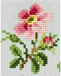 Gozde Enisoglu Adli Kullanicinin Kanevice Masa Panosundaki Pin Dikis Ornegi Kanavice Elde Nakis