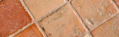 Das besondere an fliesen aus cotto: Terracotta Fliesen Reinigen Das Fliesenreinigungsportal