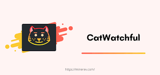 Or you can download catwatchful apk file directly to the device you want to spy on. Catwatchful Apk Download V13 0 For Android