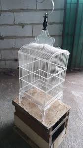 Cara memilih sangkar burung kakaktua. Jual Sangkar Burung Minimalis Di Lapak Juragan Fiber Bukalapak