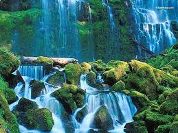 Hands care silhouette logo concept. Mother Nature Wallpapers Wallpaper Cave