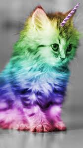 Wallpaper Cat Wallpapers Kittens 64 Ideas Cat Wallpaper Cute Little Animals Cute Baby Animals