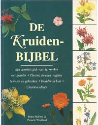 Een Aantal Populaire Kruiden Wordt In Alfabetische Volgorde Van De Nederlandse Naam Beschreven Andere Onderwerpen Zijn Huismiddeltjes Creatieve Ideeen Planten