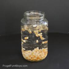 Dancing Popcorn Experiment