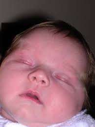 The Birth of Lily Crocker