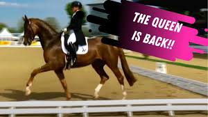 Sie hat sich heute von der championatsbühne. The Queen Is Back Isabell Werth And Bella Rose Score 80 In The Grand Prix Dressage Test Youtube