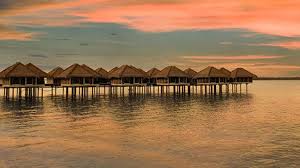 The most popular things to do in gold coast with kids according to tripadvisor travelers are Avani Sepang Goldcoast Resort Sungai Pelek Holidaycheck Kuala Lumpur Malaysia