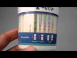 Pin on popular drug tests. T Cup Drug Test Results Youtube