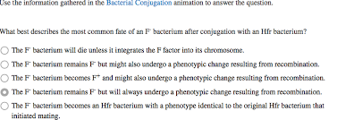 Solved Use The Information Gathered In The Bacterial Conj Chegg Com