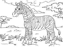 The lion is one of the most terrible animals on earth, people call him the king of beasts. Malvorlage Zebra Ausmalbild 23013 Zebra Coloring Pages Animal Coloring Pages Lion Coloring Pages
