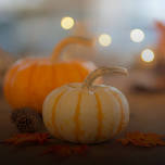 Thanksgiving at the Bistro