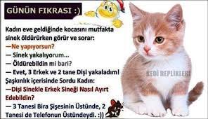 serap yenice adli kullanicinin komik alintilar panosundaki pin 3 erkek bira siseleri komik