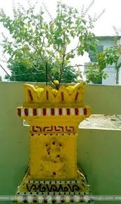 40 tulasi kota ideas tulsi tulsi pot pooja rooms tulasi kota ideas tulsi tulsi pot