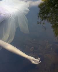 The virtuous find pleasure in hills. I Have Absolutely No Pleasure In The Stimulants In Which I Sometimes So Madly Indulge It Has Not Been I Water Photography Water Nymphs Underwater Photography