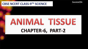 ncert books class 9 science animal tissues tissues part 2