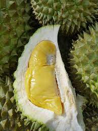 Saya pikir musang king akan berkisar 20. Udang Merah Only Rm 25 Today Musang Durian King Ttdi Facebook