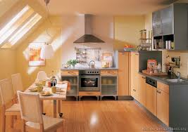 european kitchen cabinets pictures